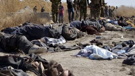شمالی شام میں 120 دہشت گردوں کی ہلاکت