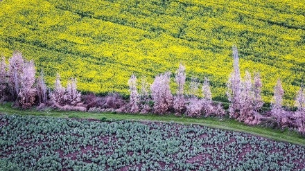 گۆرانیێکی کوردی خۆش بە ناوی سەیران