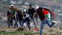 Demonstracije Palestinaca na Dan planete Zemlje 