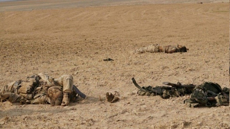 شمالی عراق میں داعش کے دسیوں عناصر ہلاک 