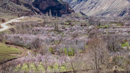 ایران کے شہر اردبیل میں بہار کے رنگ