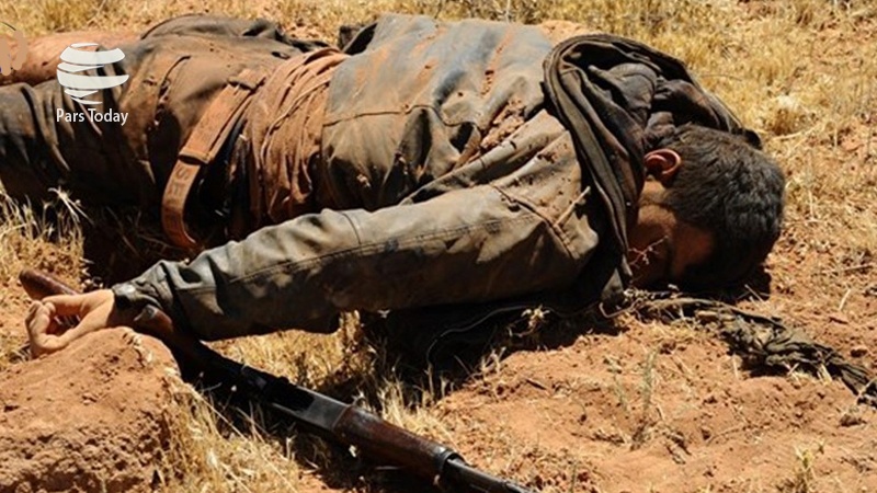 عراق: ابو بکربغدادی کا معاون ہلاک