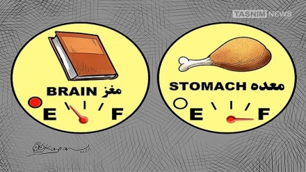 پیٹ اور دماغ / کارٹون