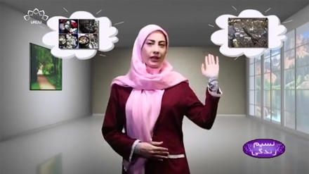 کچرے اور کوڑے کرکٹ  کو کس طرح  کارآمد بنایا جا سکتا ہے ؟