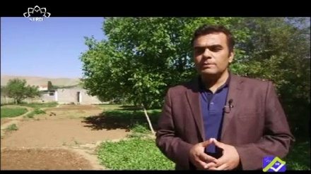 تایبه‌تمه‌ندیه‌کانی ماست و خه‌یار له ڕوانگه‌ی تێبی نه‌ریتیه‌وه