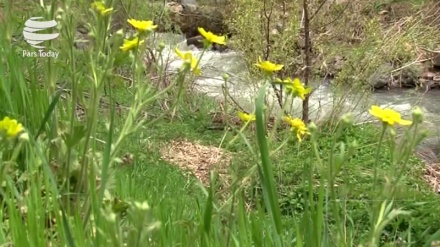 بەهاری جوانی کوردستان