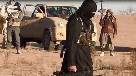 افغانستان میں داعش کا  سرغنہ گرفتار 