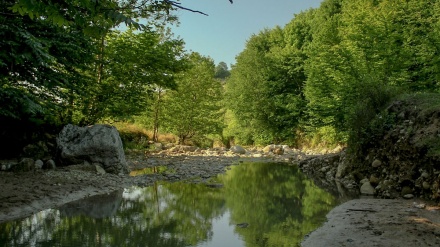 گۆرانیێک  به دەنگی شاباز شاهین پور