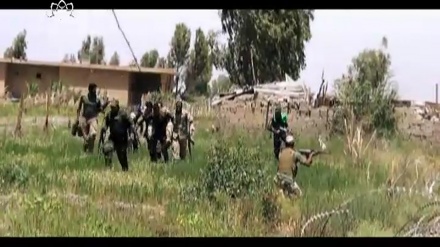 ڈاکومینٹری- دہشتگردی کے خلاف جنگ