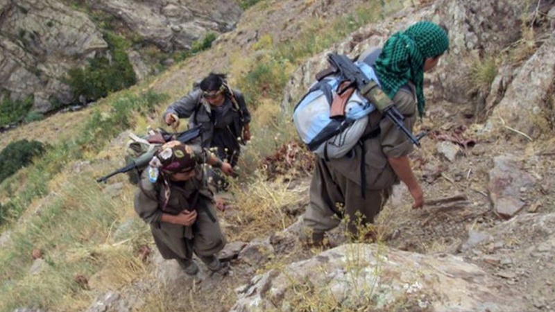 Walîtiya Wanê: Pevçûna giran a di navbera hêzên ewlehiyê û PKK`ê de li çiyayê Tendûrekê berdewam e