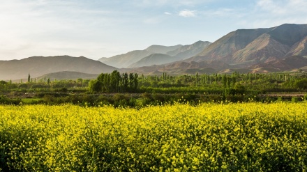 گوێ ڕادەگرین به گۆرانیێکی خۆش به دەنگی ئەحمەدی لاوه