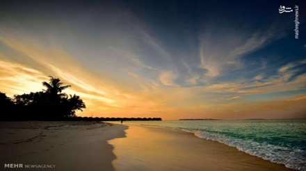  گۆرانی کوردی سەرلێشێواو