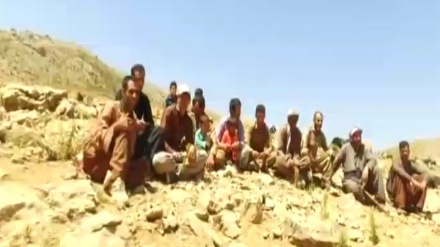 راپۆرتێک له هەواری مەیدان چۆخه له ناوچەی سەردەشت  