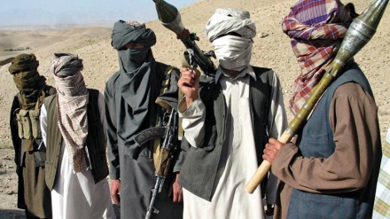 افغانستان: طالبان کے متعدد عناصر کی ہلاکت