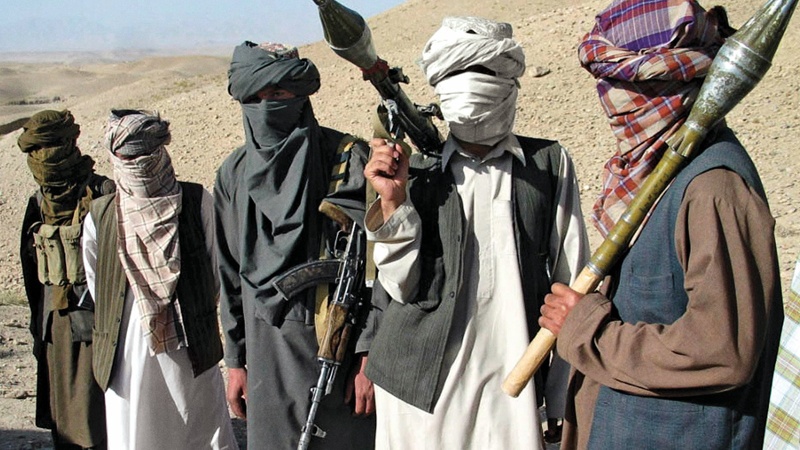 افغانستان: طالبان کے متعدد عناصر کی ہلاکت