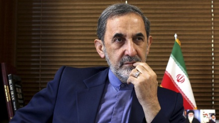 Vilayəti: Sepah-ın İŞİD-in mövqelərini məhv etməsi İranın önləyici qüdrətinin bir hissəsidir
