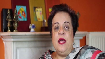 امریکی پالیسیاں پاکستانی مفادات کے خلاف