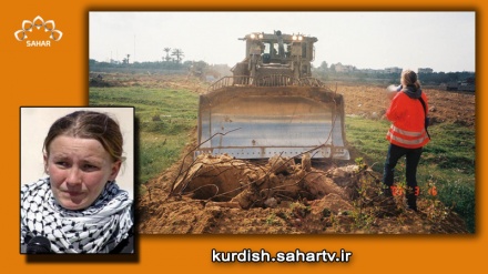 ئاشتیخوازێکی ئەمریکی کە دەبێتە قوربانی ئیسرائیل