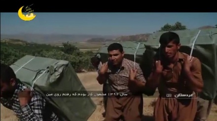 کاروتێکۆشانی کۆڵبه‌رێک