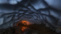 Fotografije s takmičenja National Geographic 2017.
