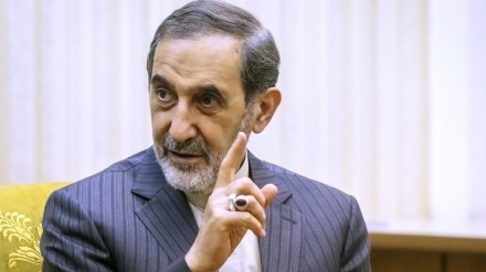 Vilayəti: İranın Suriya və İraqa dəstəyi İslam dünyası qarşısındakı böyük bir xətəri aradan götürdü