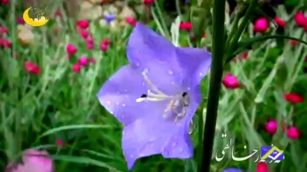 گوێ ڕادەگرین به نەوایەک کۆنی کوردی به دەنگی مەزهەرخالقی