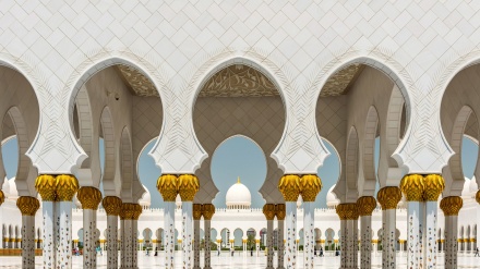 Džamija u ogledalu umjetnosti		