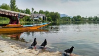  Jezero Negin u Kašmiru
