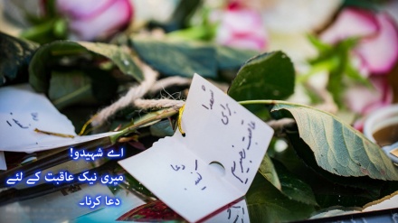 شادی شہیدوں کے جوار میں! ۔ تصاویر