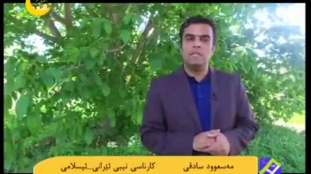 خواردەمەنییەکانی مانگی ڕەمەزان و تەندرووستی لەش