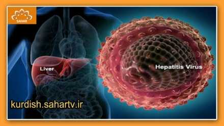 هۆکاره‌کانی نه‌خۆشی هێپاتیت و ڕێگاکانی به‌ره‌نگاربوونه‌وه‌ له‌گه‌ڵ ئه‌و نه‌خۆشینه‌ 
