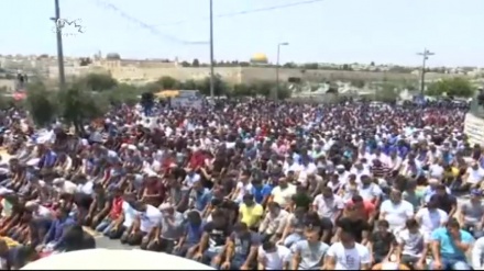 فلسطینیوں کی مزاحمت کے سامنے اسرائیل بےبس