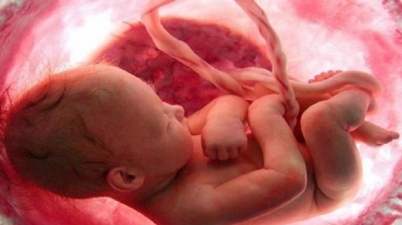 کارگەی درووس بوونی مرۆڤ له دونیای خاکی 