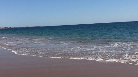 چیاکانی مێریخی له وڵاتی ئێران