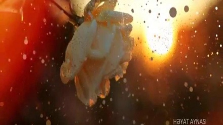 HƏYAT AYNASI        04-01-2018