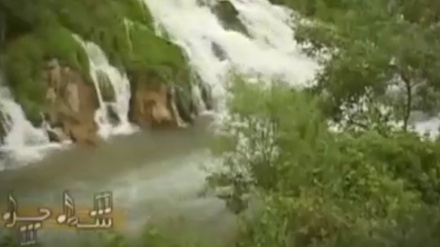 گۆرانی هۆرامی لە بەرنامەی شەوچرا