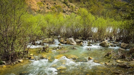گۆرانی کوردی بەهەشتی بەرین