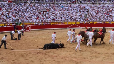 Pamplona festival u Španiji