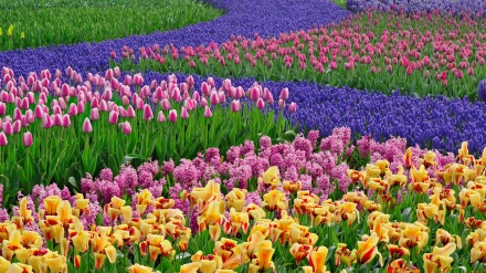 گوێ ڕادەگرین به گۆرانیێکی کوردی خۆش 