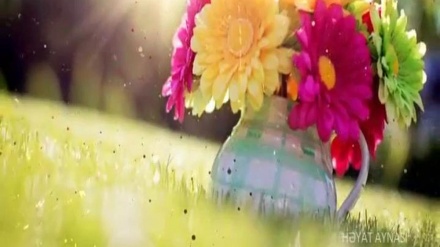 HƏYAT AYNASI       29-12-2017 