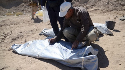 İraqda Spayker cinayəti; Kütləvi məzarlıq aşkarlandı