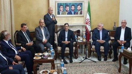 Müsəlman alimlərin terrorizmə qarşı rolu vurğulanıb