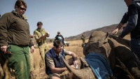 Trgovina rogova od nosoroga u Južnoj Africi
