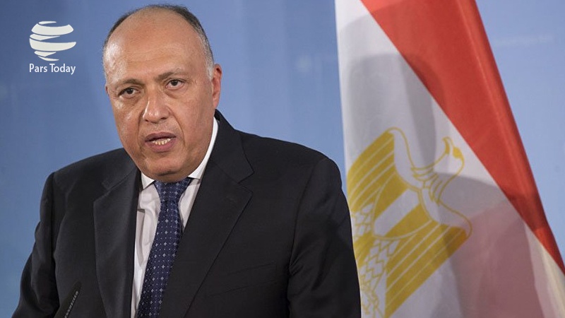  عالمی برادری ، شہر رفح پر صیہونی حکومت کی یلغار روکنے میں ناکام رہی ہے : مصری وزیر خارجہ 