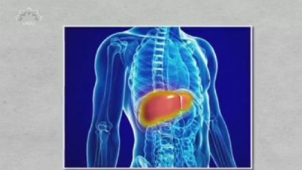  جگر کی چربی کا علاج 