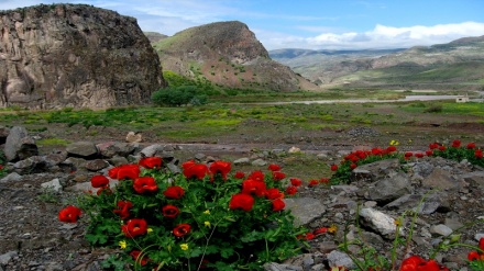 سروشتی دڵڕفێنی کوردستان