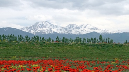 سەبەلان شوێنێکی سەرەنج ڕاکێش