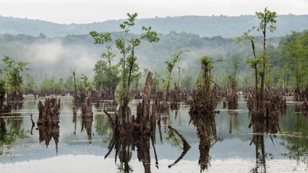 گۆماوی رۆحەکان –  پارێزگای مازەندەران