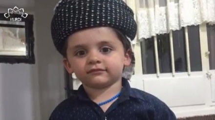 ئەلبۆمی وێنەی بینــەران