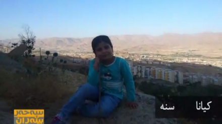 ئەلبۆمی وێنەی بینــەران